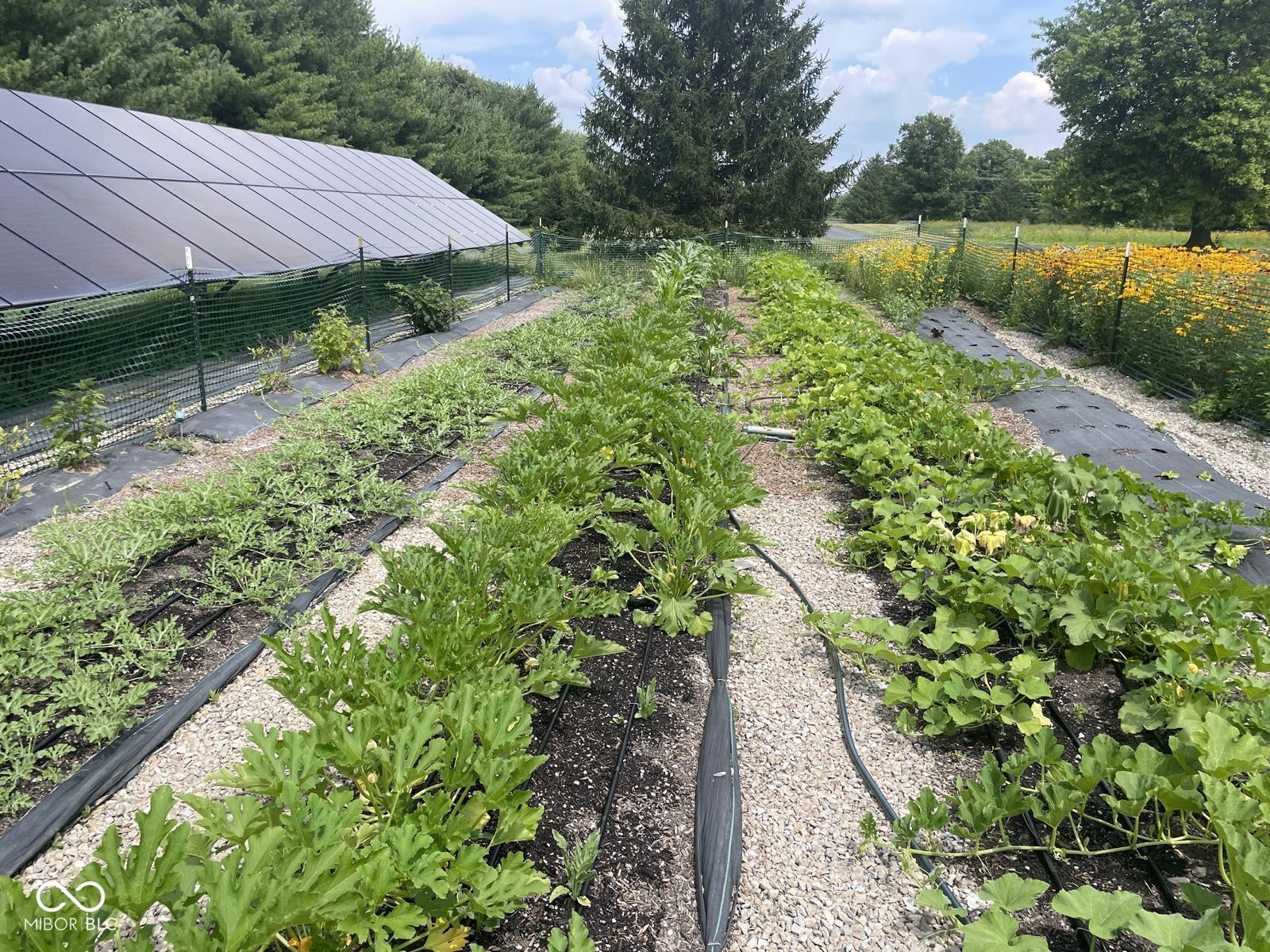 12886 West Road Zionsville, IN 46077 - Photo 58 of 58