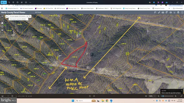 a view of a yard with trees