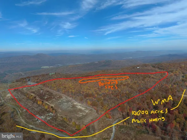 a view of side of snow with trees in the background