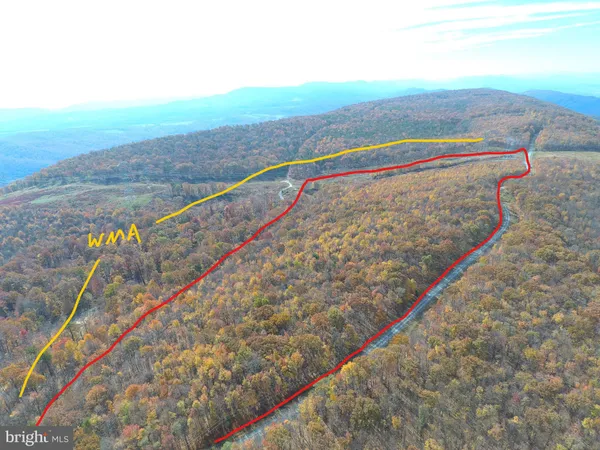 a view of a backyard of the house