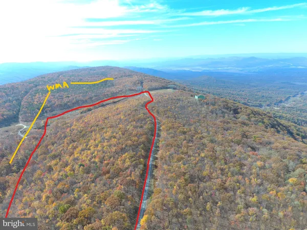 a view of outdoor space with deck and trees