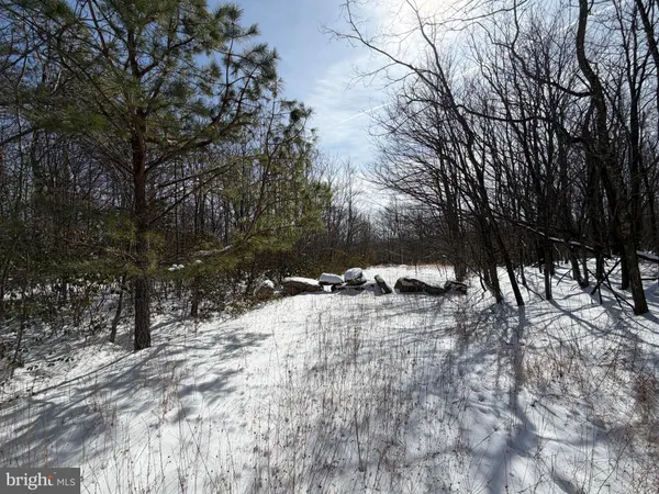 a view of a yard with snow on the road
