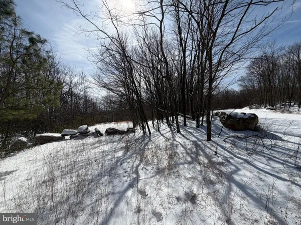 a view of a backyard of the house