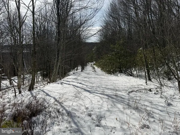 a view of a yard with a house