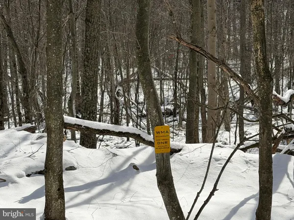 a view of outdoor space with lots of trees