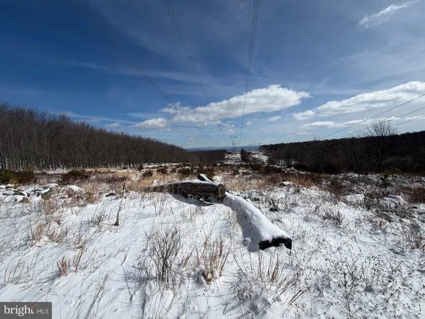 a view of a dry yard with wooden fence