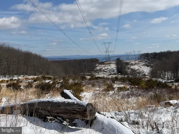 a view of a yard with wooden fence