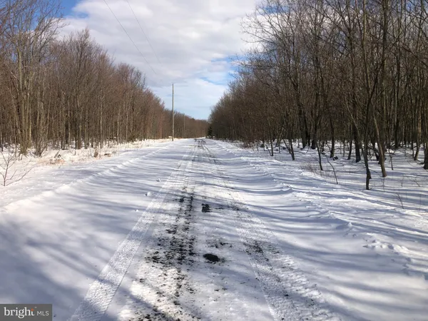 a view of a dry yard