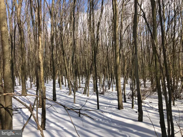 a sign that is on a pole