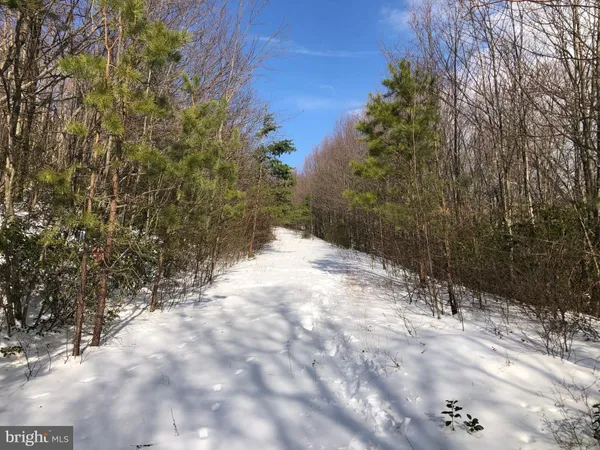 a view of a lake with a yard