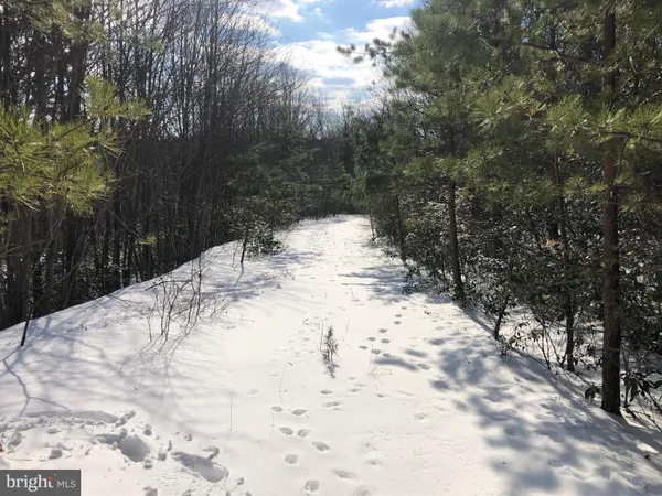 a view of a street sign