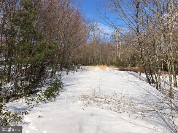 a view of a lake with a yard