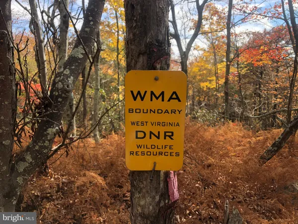 a view of a dry yard