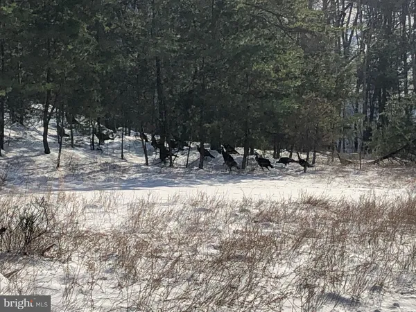 $170,000 | 356 Ashton Woods Drive, Moorefield, WV 26836