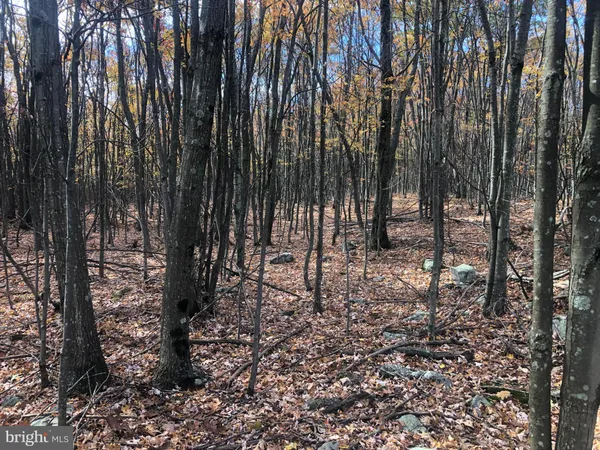 $170,000 | 356 Ashton Woods Drive, Moorefield, WV 26836