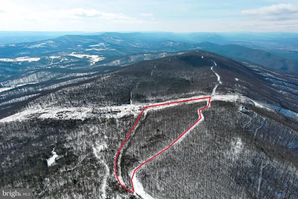 a view of swimming pool from a balcony