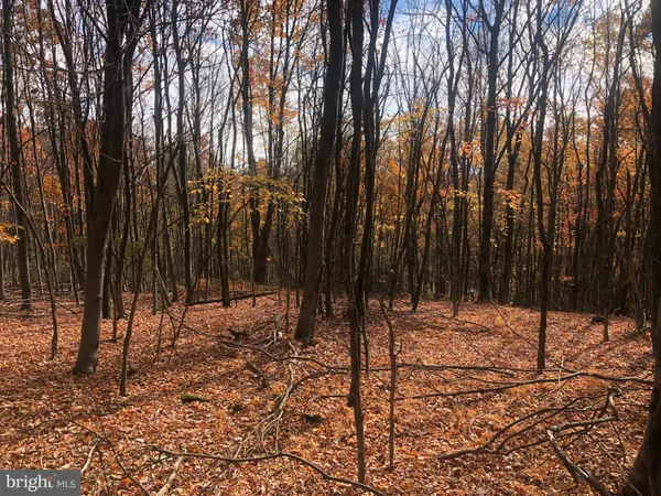 $170,000 | 356 Ashton Woods Drive, Moorefield, WV 26836