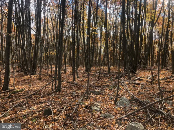 $170,000 | 356 Ashton Woods Drive, Moorefield, WV 26836