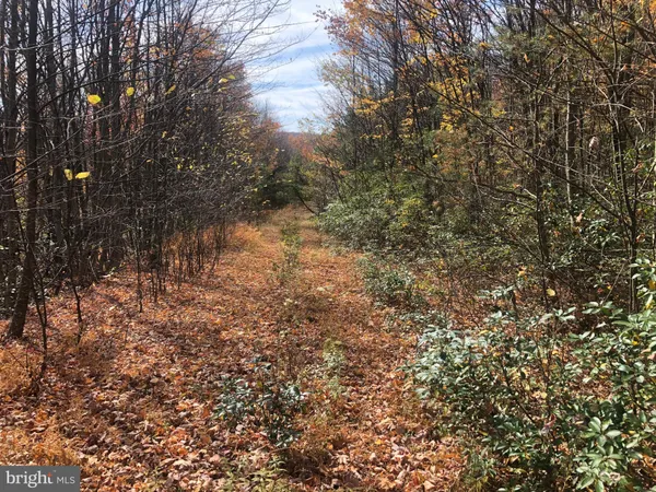 $170,000 | 356 Ashton Woods Drive, Moorefield, WV 26836