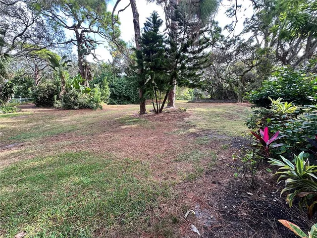a view of a yard with large trees