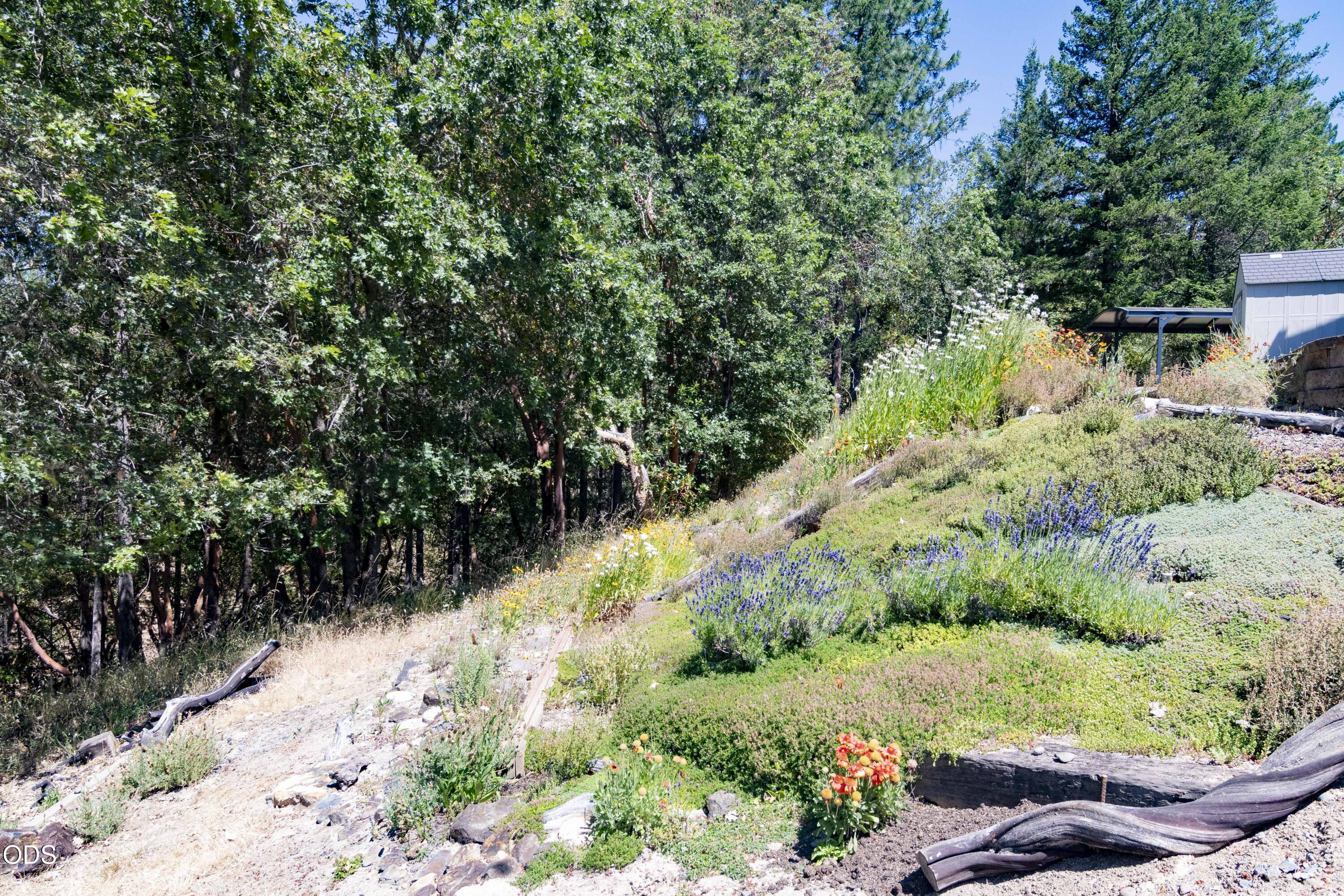 712 Colleen Court Grants Pass, OR 97527 - Photo 46 of 67