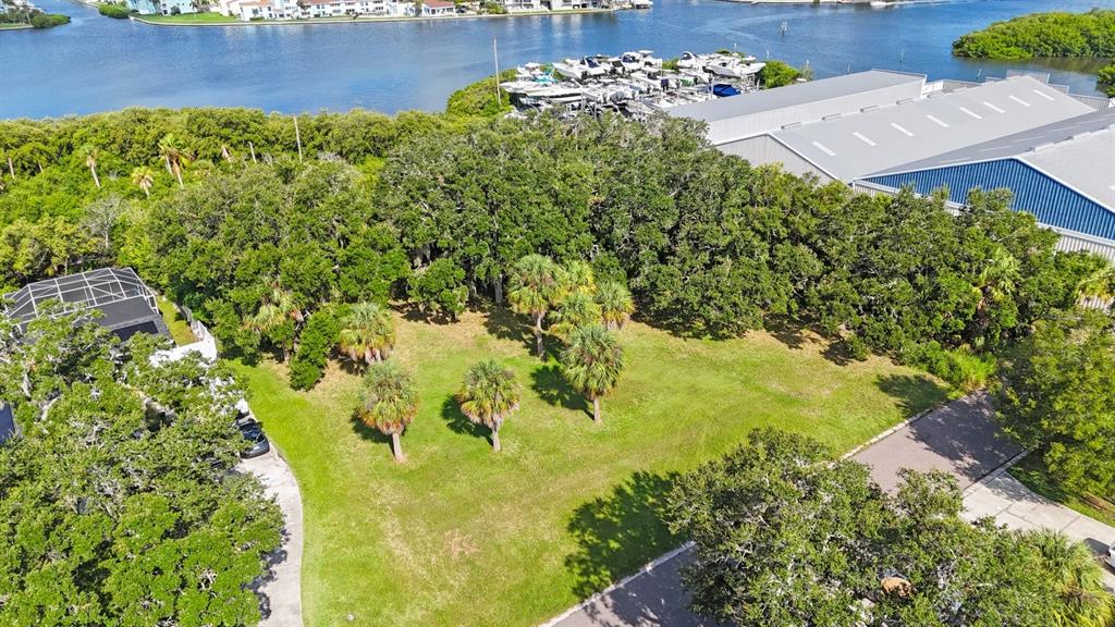 145th Lane Largo, FL 33774 - Photo 13 of 29 a view of a garden with plants