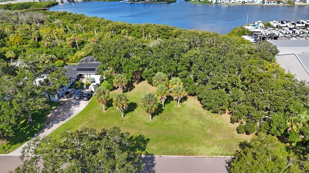 145th Lane Largo, FL 33774 - Photo 14 of 29 a view of a garden