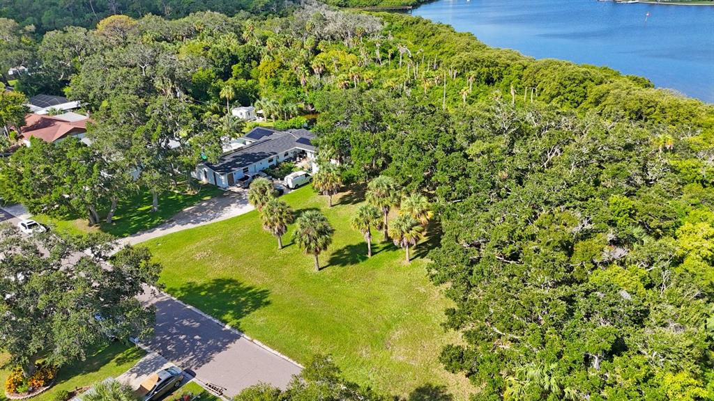 145th Lane Largo, FL 33774 - Photo 15 of 29 a view of a big yard with plants and large trees
