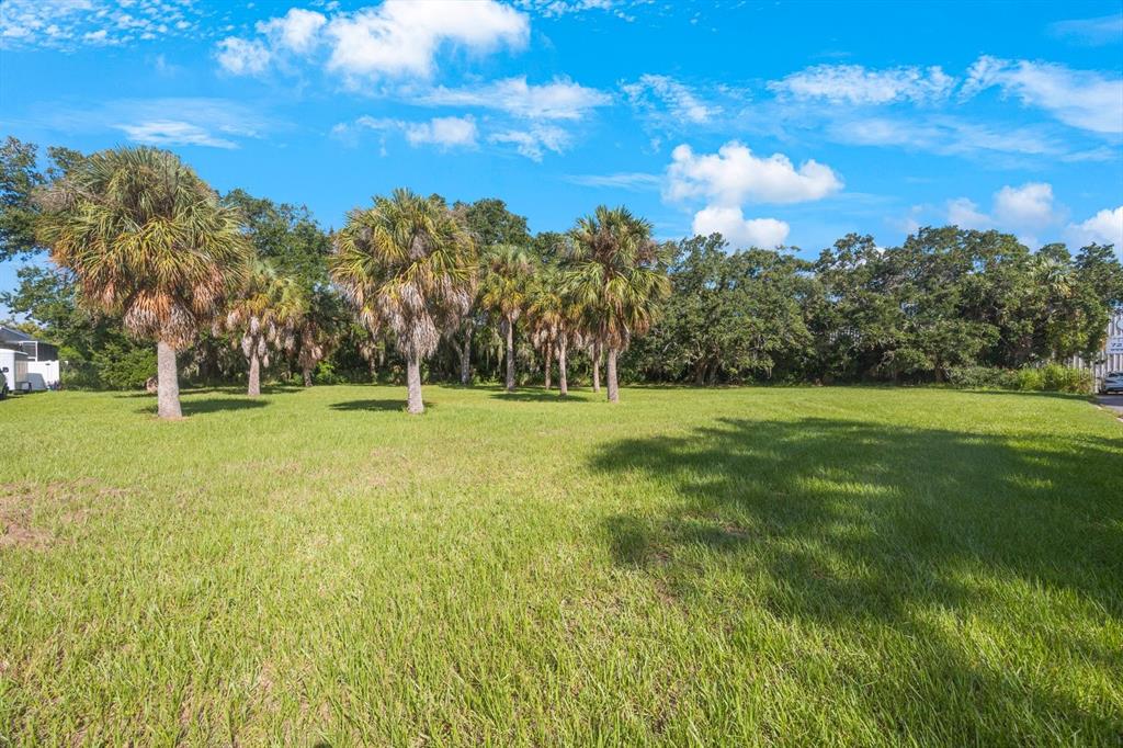 145th Lane Largo, FL 33774 - Photo 2 of 29 a backyard of a house with lots of green space
