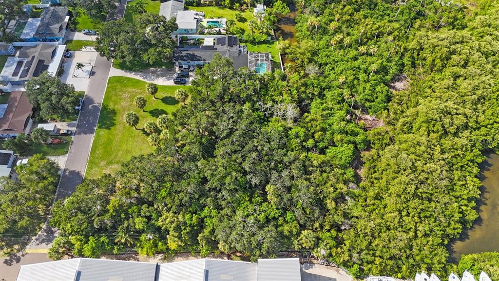 145th Lane Largo, FL 33774 - Photo 29 of 29 a view of a yard with plants