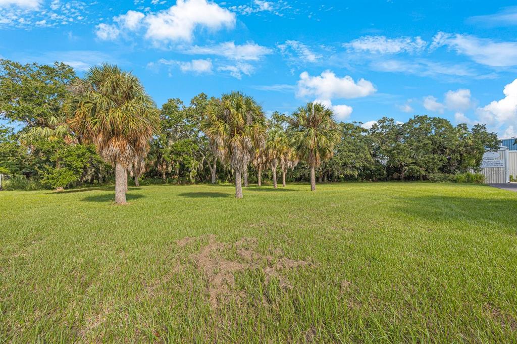 145th Lane Largo, FL 33774 - Photo 7 of 29 a view of a green field