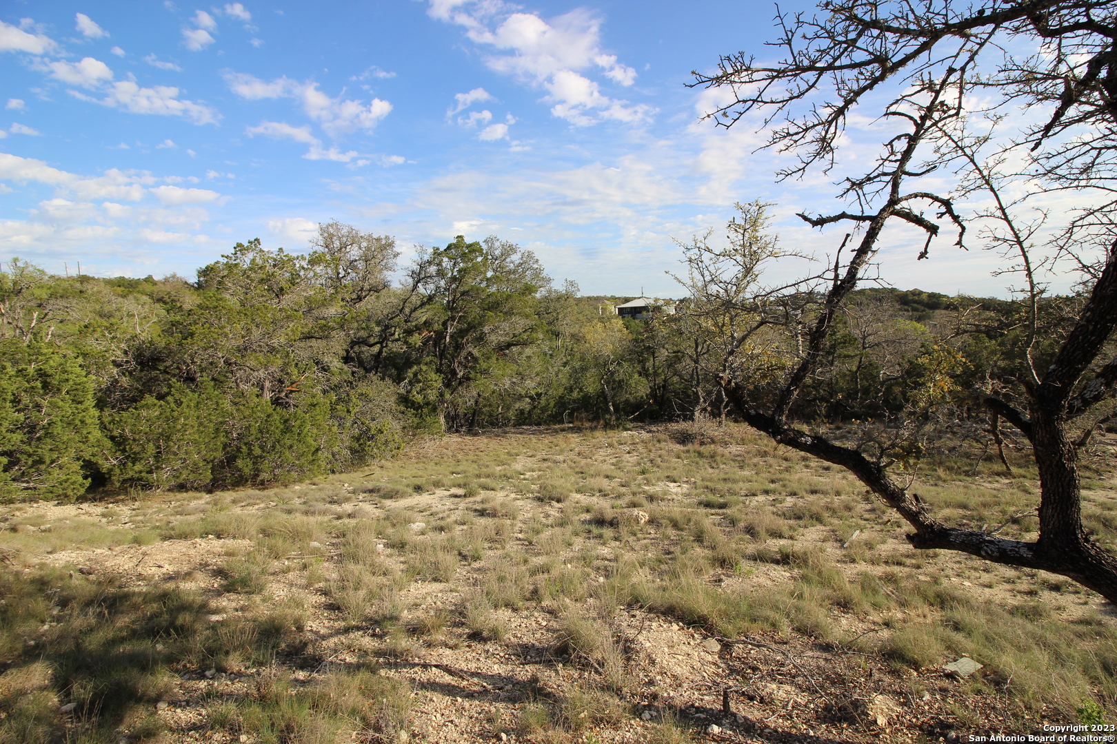 225 Magnolia Meadow Spring Branch, TX 78070 - Photo 1 of 4 a view of a yard