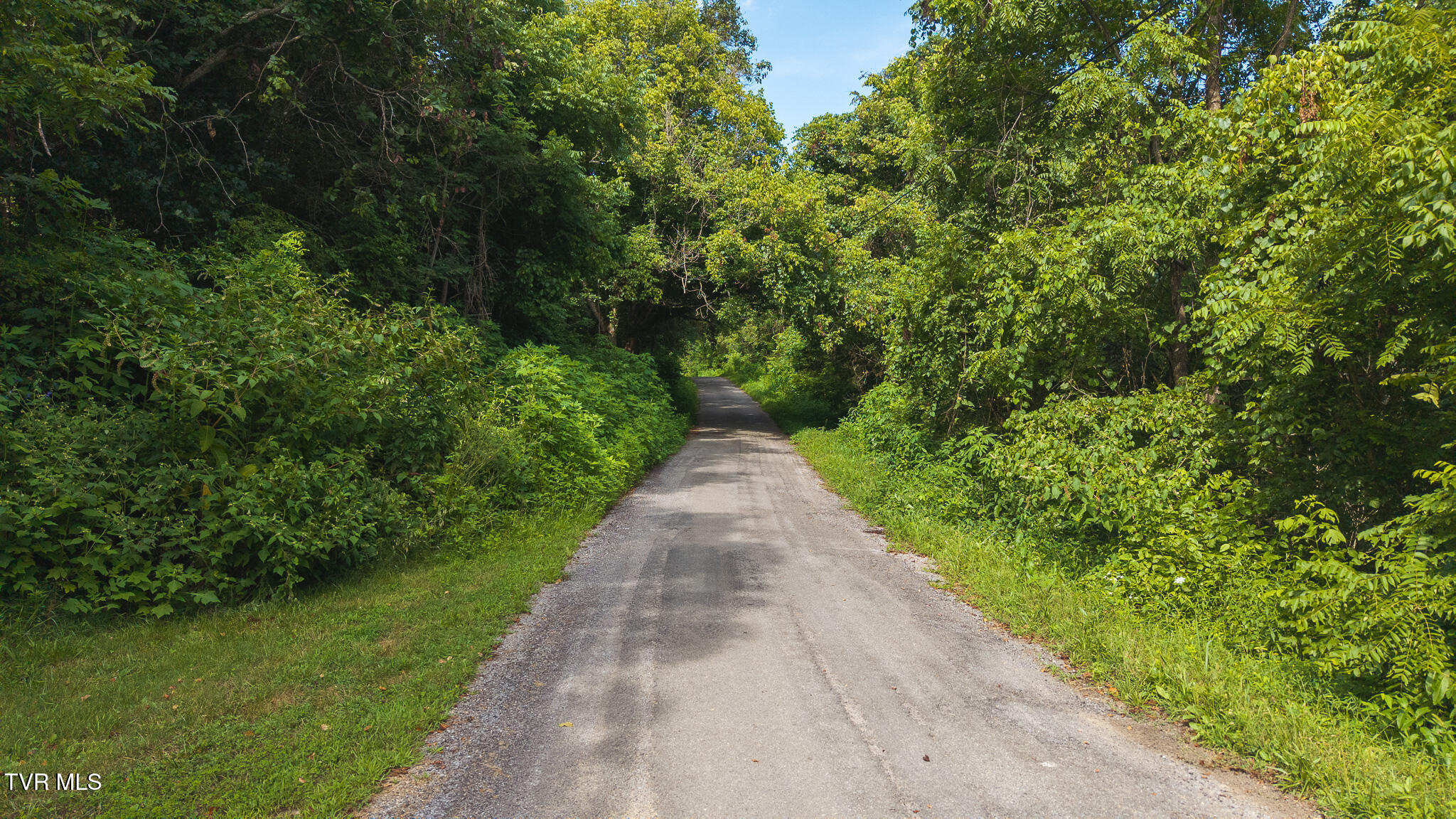 0 Gravely Valley Road Eidson, TN 37731 - Photo 9 of 36 DJI_20250716170517_0738_D