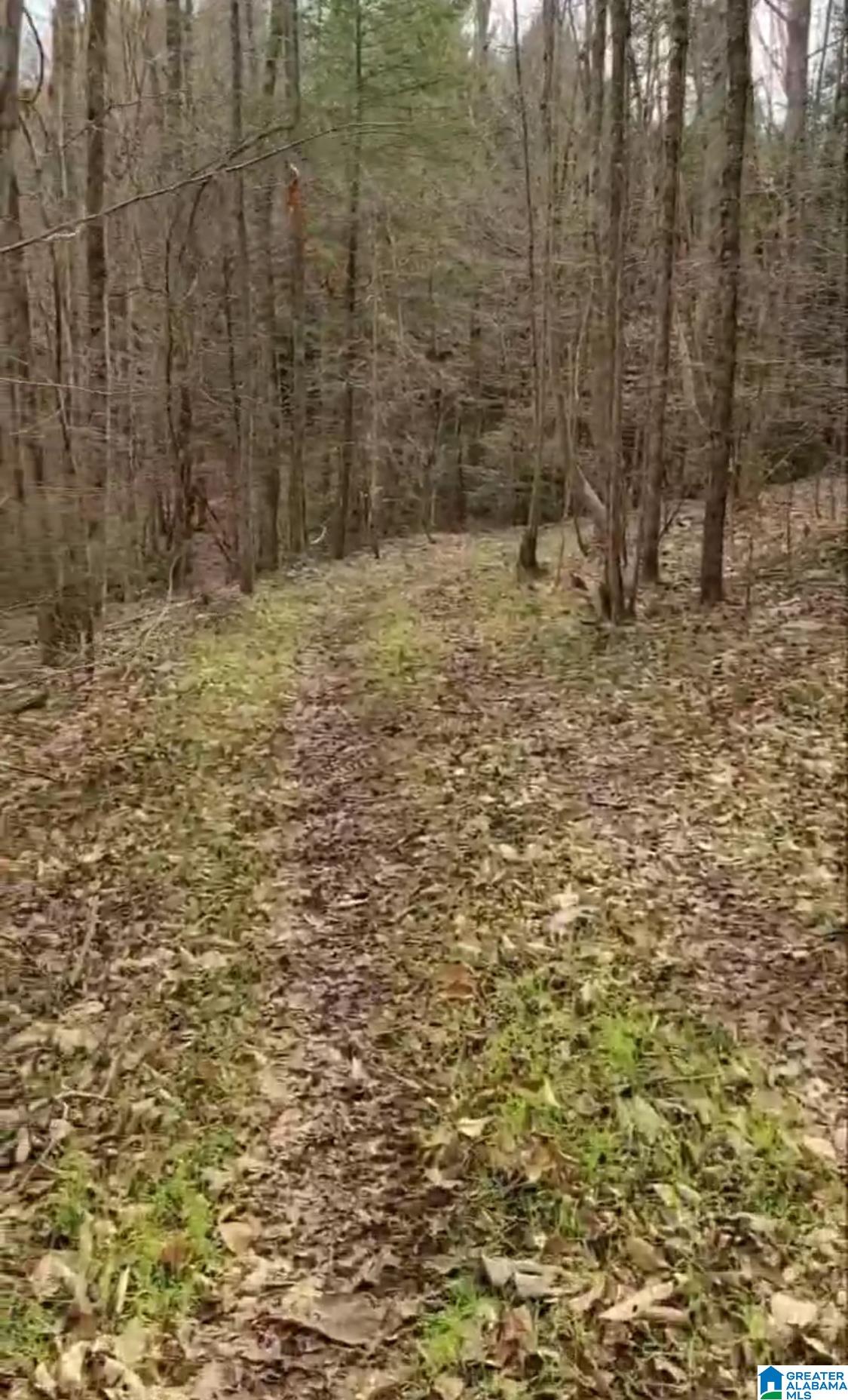 2 County Road 2, Unit 50 / ACRES Double Springs, AL 35553 - Photo 14 of 79
