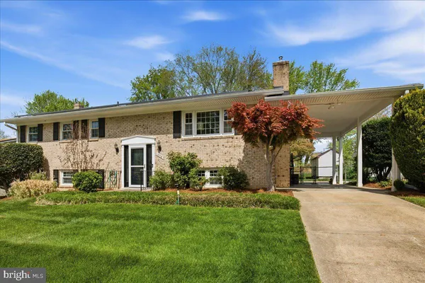 a view of a street with a tree