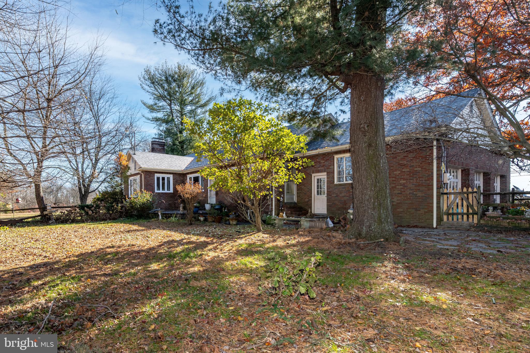 478 Highway 40 Elmer, NJ 08318 - Photo 5 of 65 a view of a house with a yard and large tree