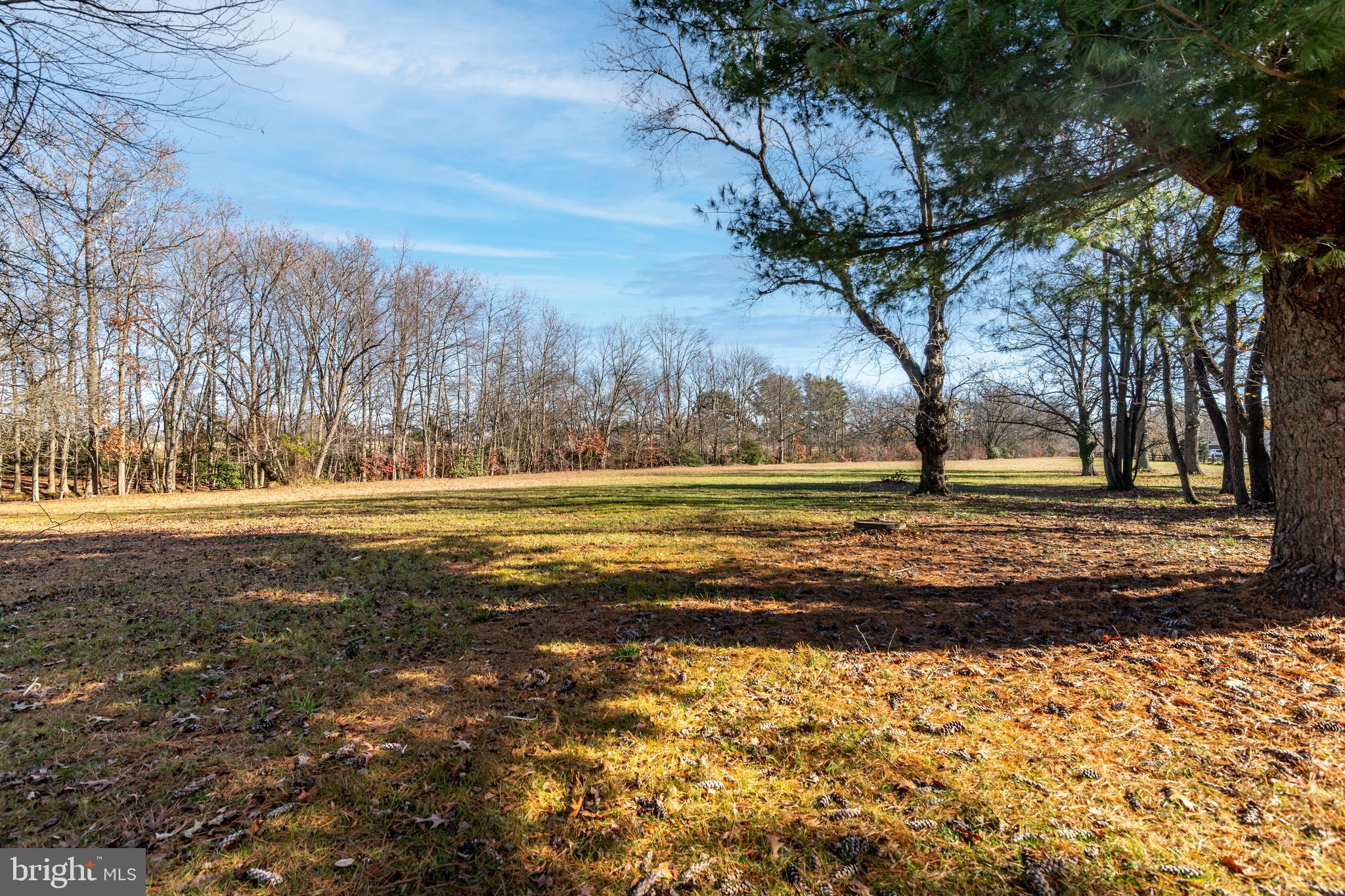 478 Highway 40 Elmer, NJ 08318 - Photo 65 of 65 a view of dirt yard with large trees