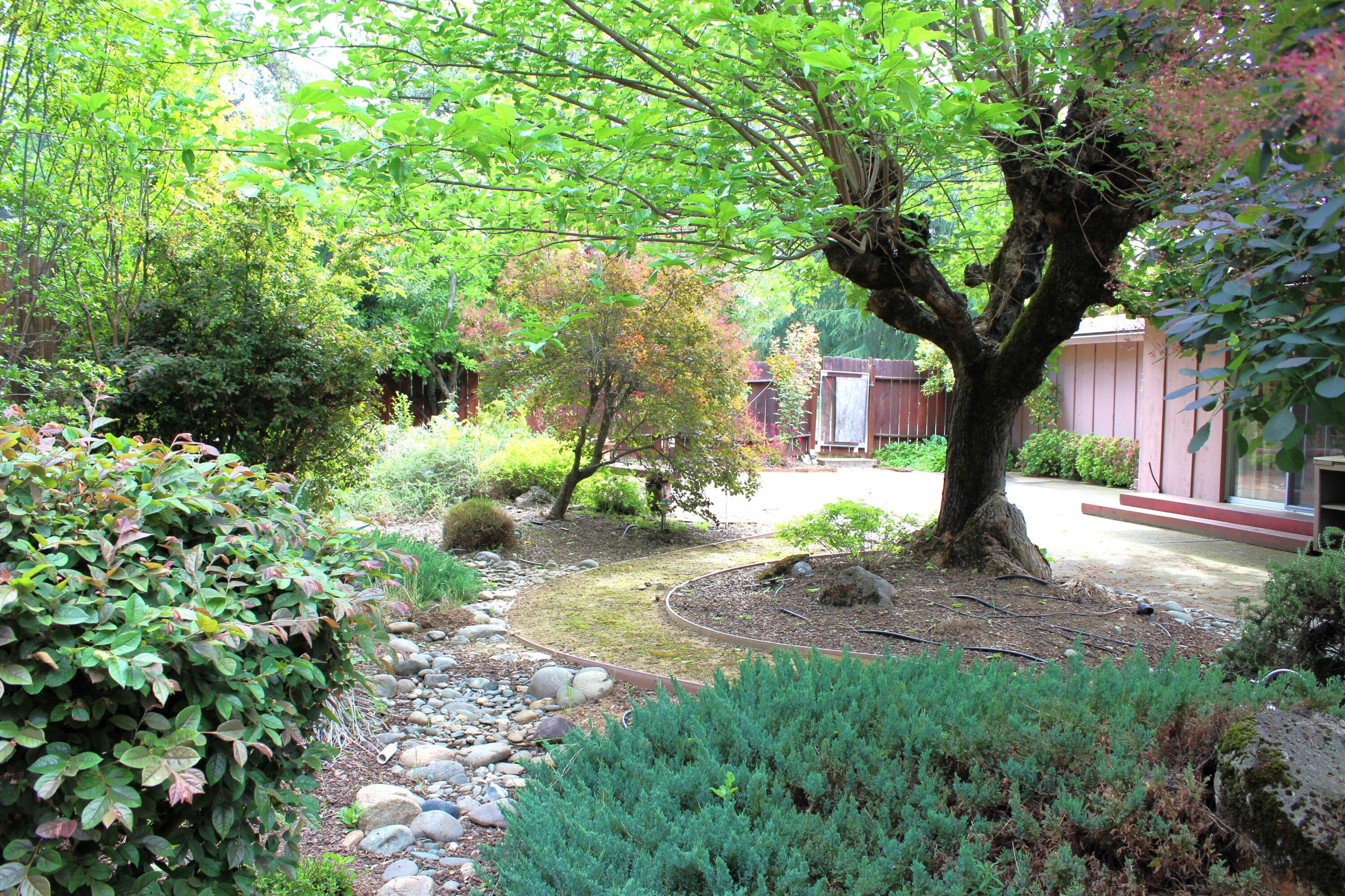 3774 Ricardo Avenue Redding, CA 96002 - Photo 3 of 35 IMG_4106