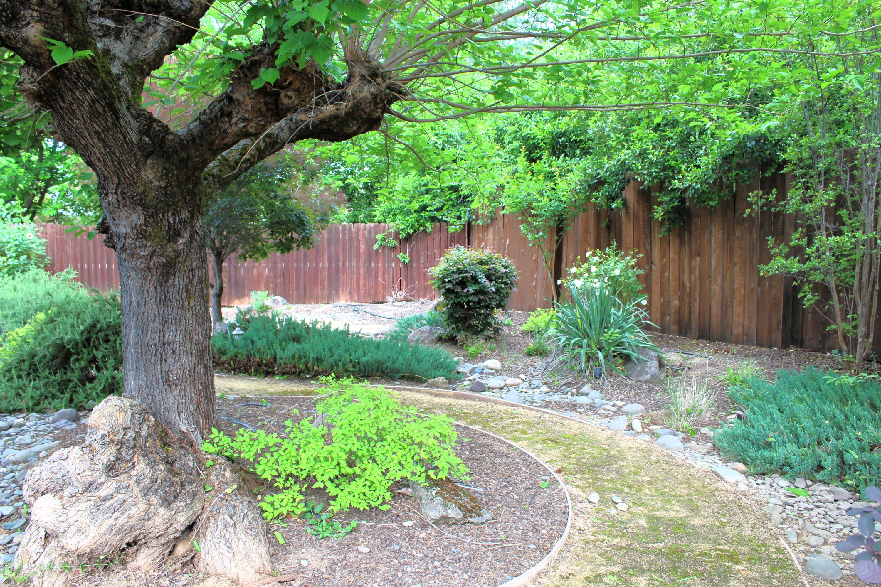 3774 Ricardo Avenue Redding, CA 96002 - Photo 33 of 35 IMG_4064