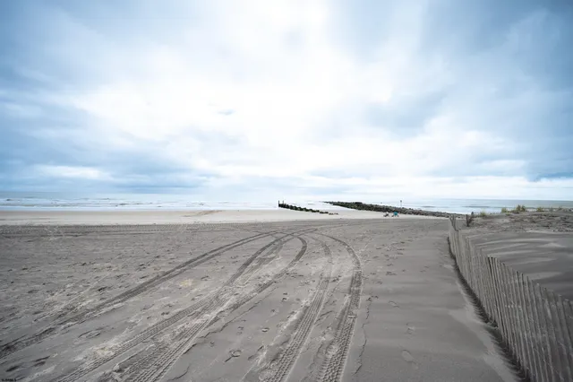 a city street filled with traffic