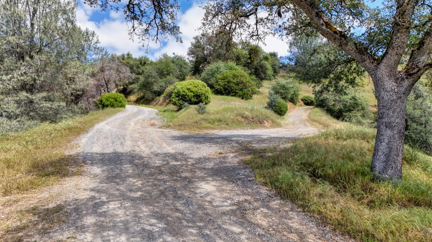 3466 Howard Road San Andreas, CA 95249 - Photo 41 of 61