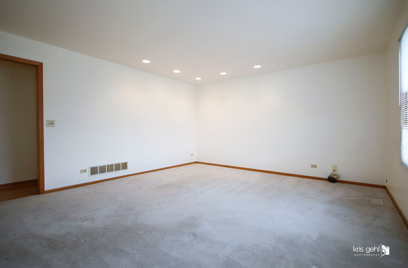 104 Cass Street Spring Grove, IL 60081 - Photo 4 of 21 a view of an empty room
