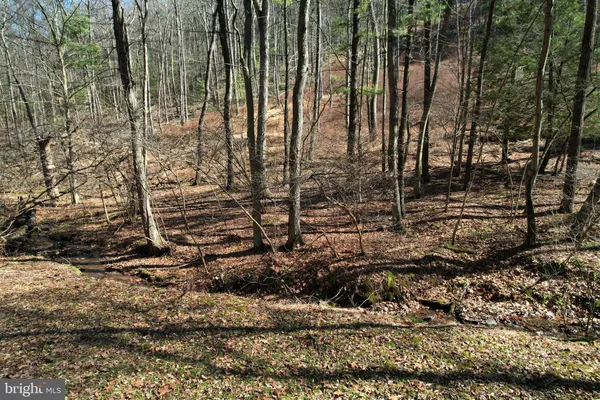 $165,000 | Lot On Lot On Camp Lane, Bellefonte, PA 16823