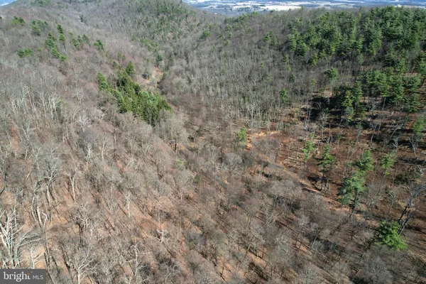 $165,000 | Lot On Lot On Camp Lane, Bellefonte, PA 16823