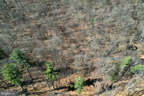 $165,000 | Lot On Lot On Camp Lane, Bellefonte, PA 16823