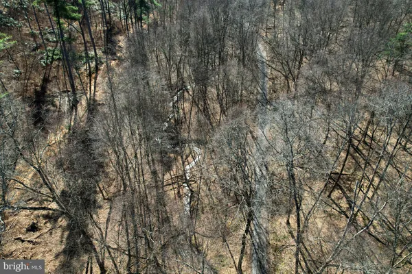 $165,000 | Lot On Lot On Camp Lane, Bellefonte, PA 16823