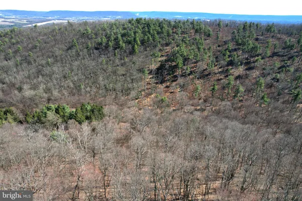 $165,000 | Lot On Lot On Camp Lane, Bellefonte, PA 16823