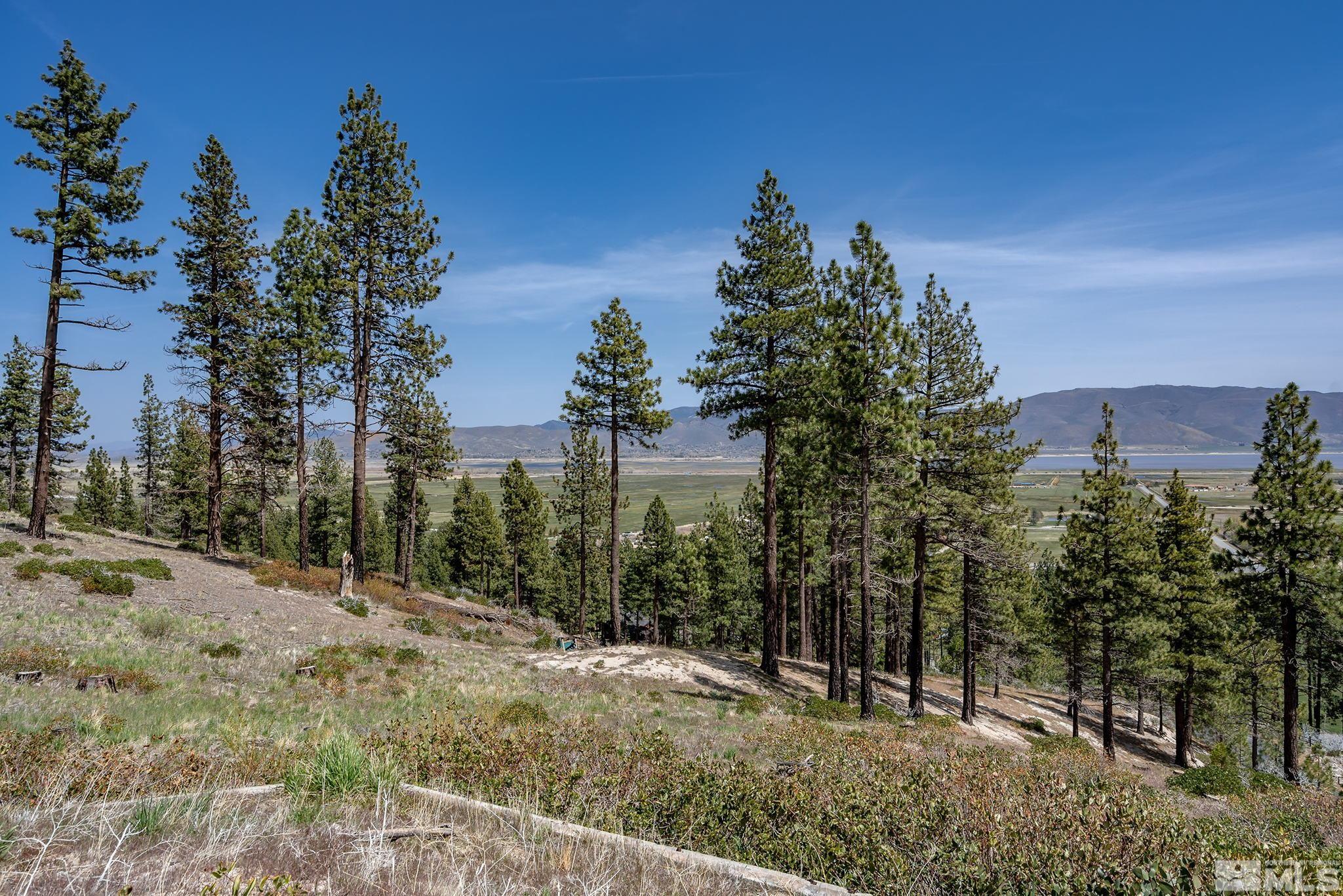 2205-2305 Old Ranch Road Carson City, NV 89704 - Photo 6 of 17 Photo 6