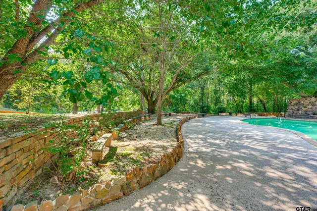 a view of a yard with plants and large trees