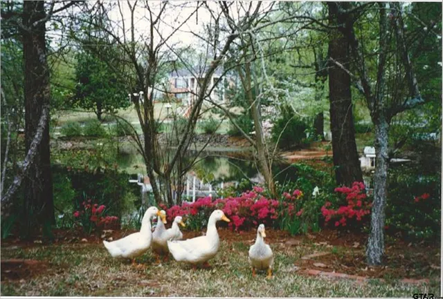 a backyard of a house with lots of green space